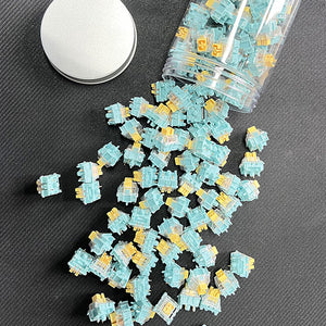 Homoo Sea Salt Linear Switches