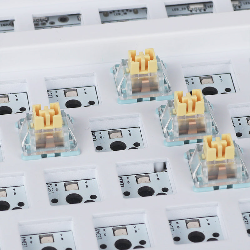 Homoo Sea Salt Linear Switches