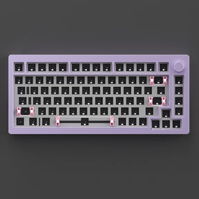 MonsGeek M1 DIY Keyboard Kit purple color show