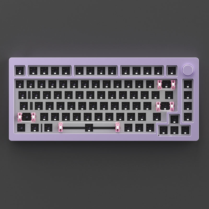 MonsGeek M1 DIY Keyboard Kit purple color show