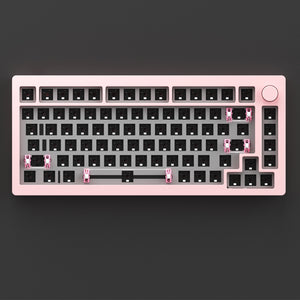 MonsGeek M1 DIY Kit Pink Colors Show