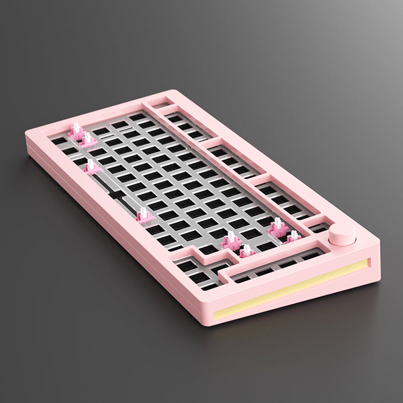 MonsGeek M1 Pink DIY Kit View
