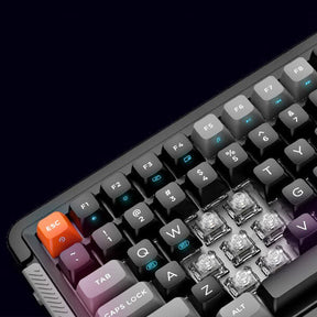 RoyalAxe L75 keyboard TTC switches