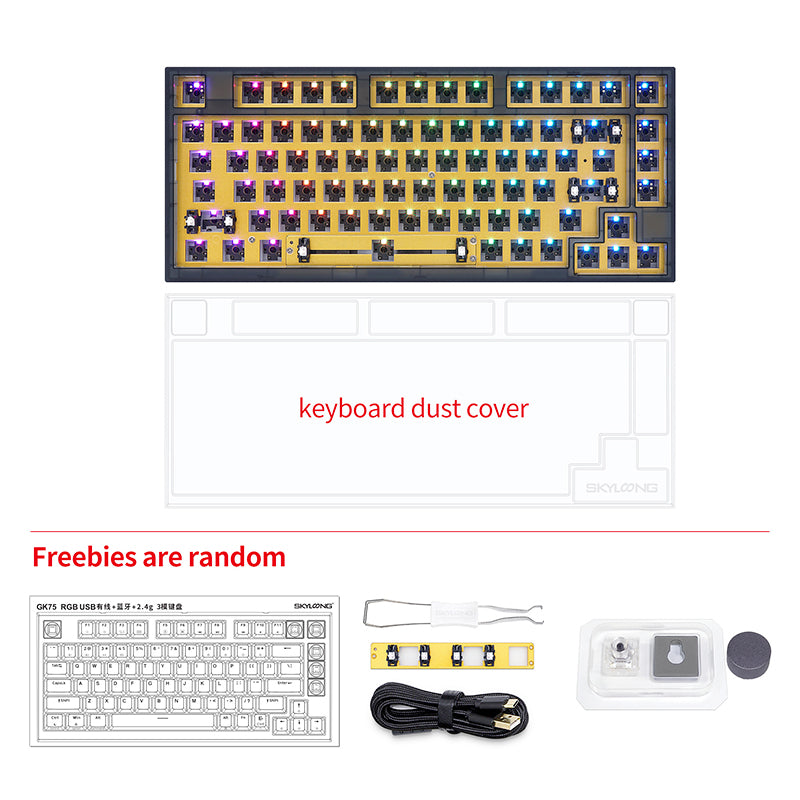 products/SKYLOONGGK753-ModeRGBDIYKit_12