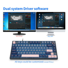 SKYLOONG GK75 RGB Mechanical Keyboard with Glacier Mechanical Switches