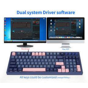 SKYLOONG GK980 mit 4 Knöpfen und 3-Modus-Mechanische Tastatur