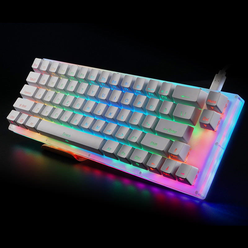 Womier K66 Mechanical Keyboard show - whatgeek