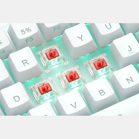 Womier K66 Mechanical Keyboard